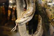manchester museum 9-2023 8819